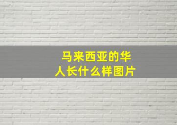 马来西亚的华人长什么样图片