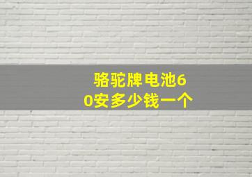 骆驼牌电池60安多少钱一个