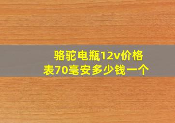 骆驼电瓶12v价格表70毫安多少钱一个