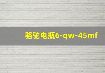 骆驼电瓶6-qw-45mf