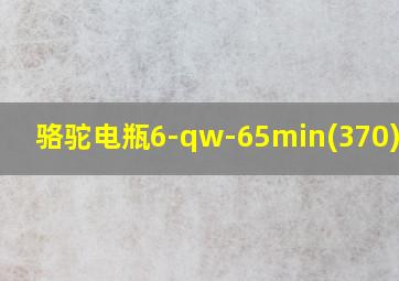 骆驼电瓶6-qw-65min(370)价格