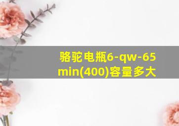 骆驼电瓶6-qw-65min(400)容量多大