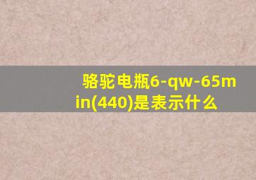 骆驼电瓶6-qw-65min(440)是表示什么