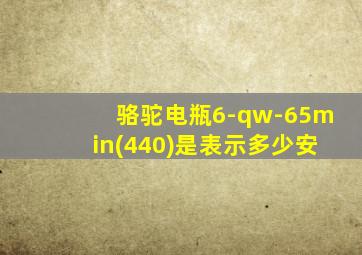 骆驼电瓶6-qw-65min(440)是表示多少安