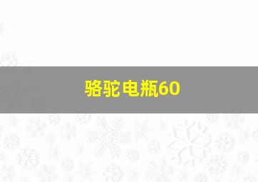 骆驼电瓶60