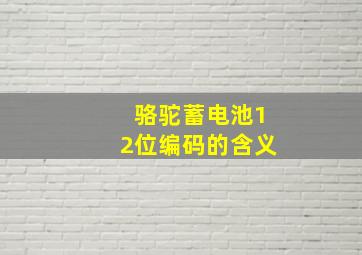 骆驼蓄电池12位编码的含义