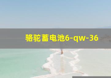 骆驼蓄电池6-qw-36