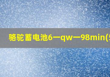 骆驼蓄电池6一qw一98min(550)