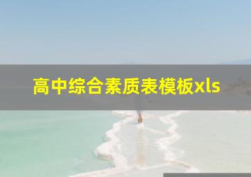 高中综合素质表模板xls