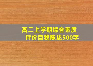 高二上学期综合素质评价自我陈述500字