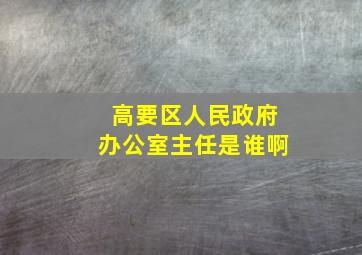 高要区人民政府办公室主任是谁啊