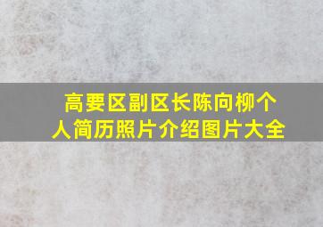 高要区副区长陈向柳个人简历照片介绍图片大全