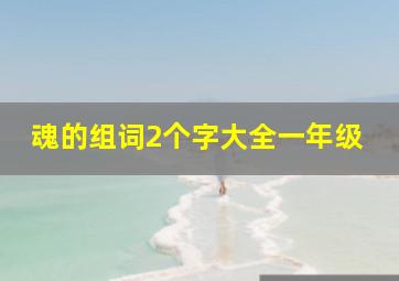 魂的组词2个字大全一年级