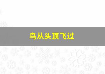 鸟从头顶飞过