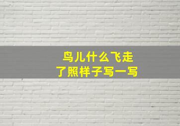 鸟儿什么飞走了照样子写一写