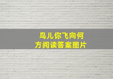 鸟儿你飞向何方阅读答案图片