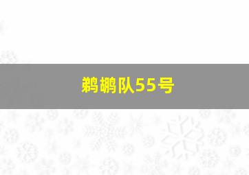 鹈鹕队55号