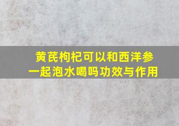 黄芪枸杞可以和西洋参一起泡水喝吗功效与作用