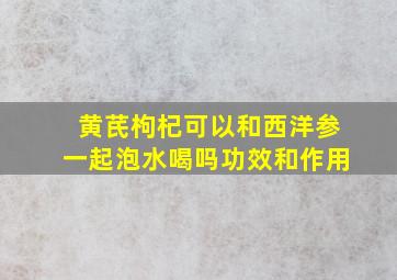 黄芪枸杞可以和西洋参一起泡水喝吗功效和作用