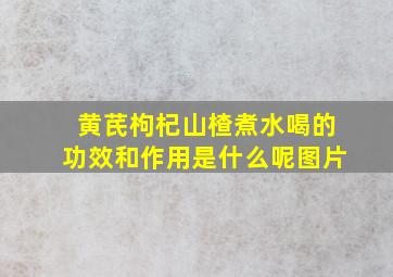 黄芪枸杞山楂煮水喝的功效和作用是什么呢图片