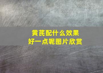 黄芪配什么效果好一点呢图片欣赏