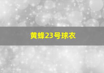 黄蜂23号球衣