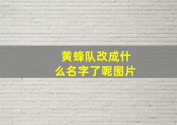 黄蜂队改成什么名字了呢图片