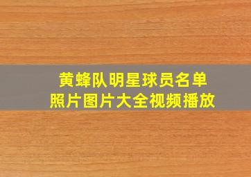 黄蜂队明星球员名单照片图片大全视频播放