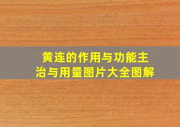 黄连的作用与功能主治与用量图片大全图解