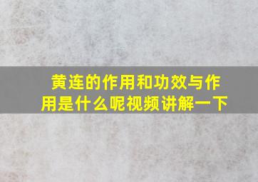 黄连的作用和功效与作用是什么呢视频讲解一下