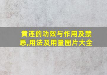 黄连的功效与作用及禁忌,用法及用量图片大全