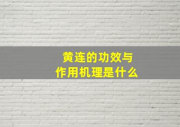 黄连的功效与作用机理是什么