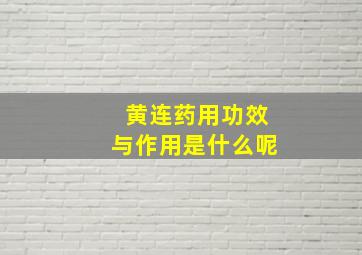 黄连药用功效与作用是什么呢