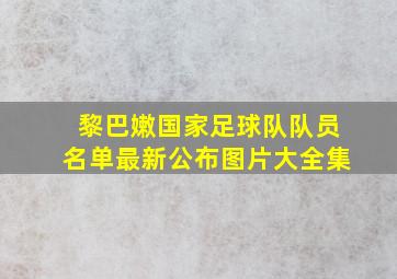 黎巴嫩国家足球队队员名单最新公布图片大全集