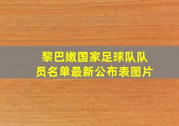 黎巴嫩国家足球队队员名单最新公布表图片