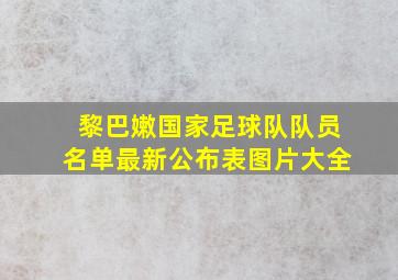 黎巴嫩国家足球队队员名单最新公布表图片大全