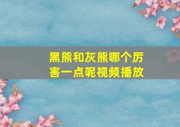 黑熊和灰熊哪个厉害一点呢视频播放