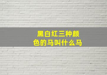 黑白红三种颜色的马叫什么马