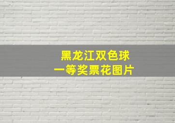 黑龙江双色球一等奖票花图片