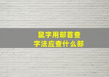 鼠字用部首查字法应查什么部