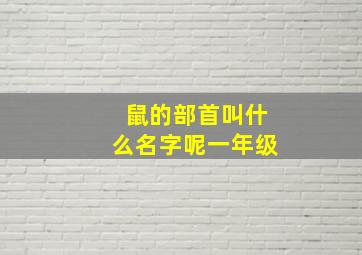 鼠的部首叫什么名字呢一年级