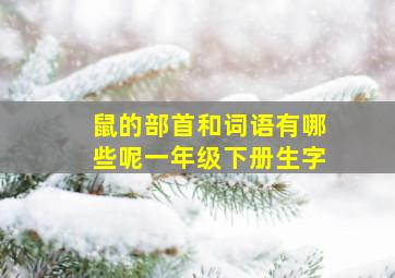 鼠的部首和词语有哪些呢一年级下册生字