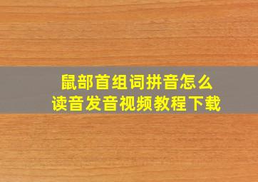 鼠部首组词拼音怎么读音发音视频教程下载