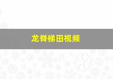 龙脊梯田视频